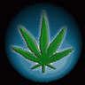 Avatar cannabis MSN