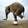 Avatar equilibrista elefante MSN
