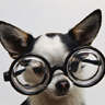 Avatar perro intelectual MSN