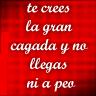 Avatar te crees la gran cagada MSN